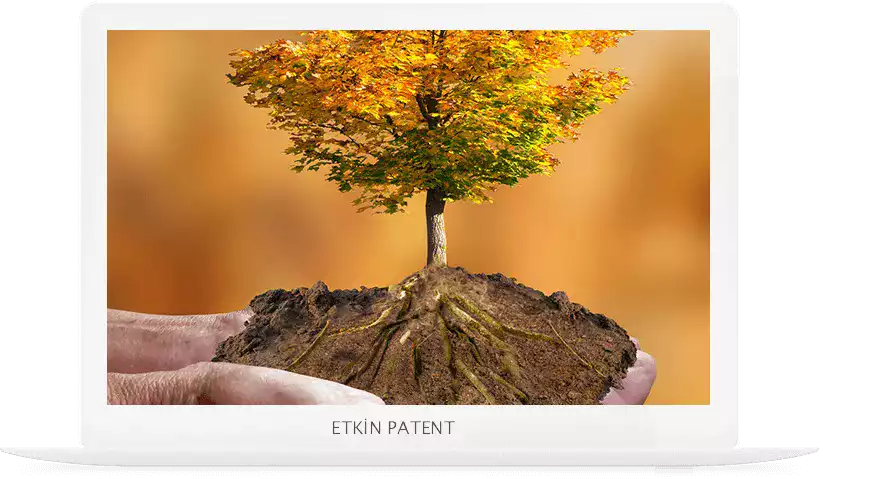 çevre yönetim sistemi denetimi-atasehir patent