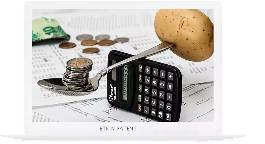 finansal davranışlara dair kombinasyon modeller-atasehir patent