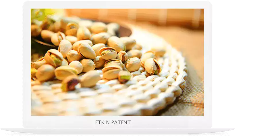 Tanımlama Standartları Barkod - Ataşehir Patent